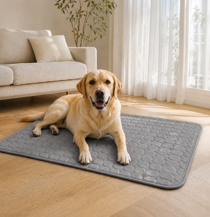 BLUMÉ- Die innovative Kühlmatte für Hunde