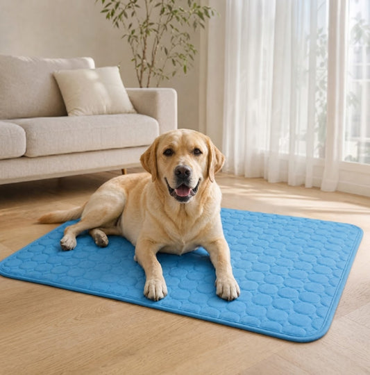 BLUMÉ- Die innovative Kühlmatte für Hunde