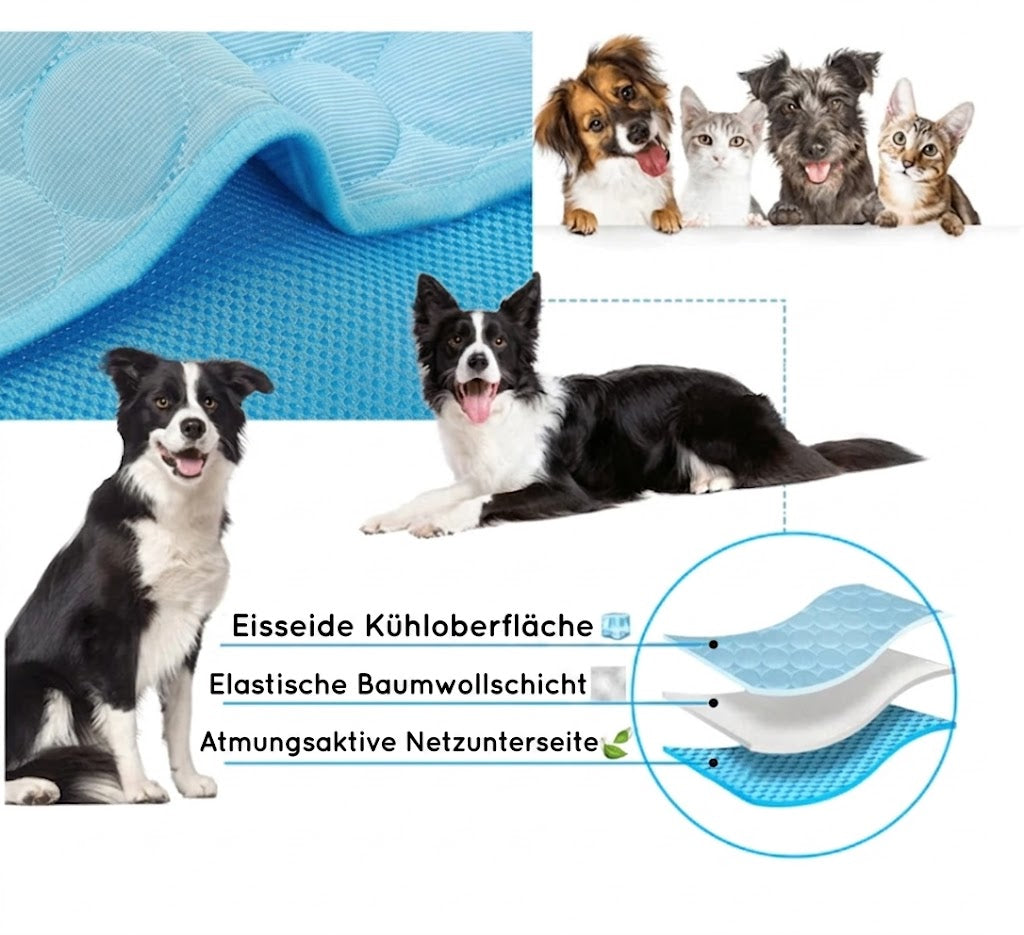 BLUMÉ- Die innovative Kühlmatte für Hunde