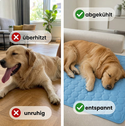 BLUMÉ- Die innovative Kühlmatte für Hunde